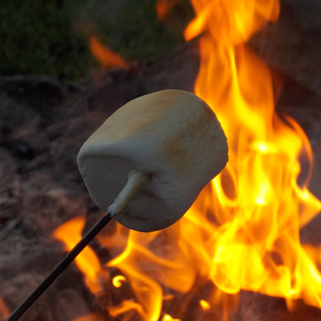 Bonfire Night- 8oz Wood Wick Candle